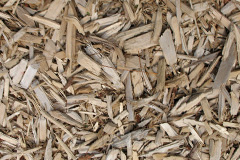 biomass boilers Llangynog